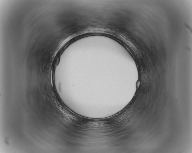 X0000097771272200803281632