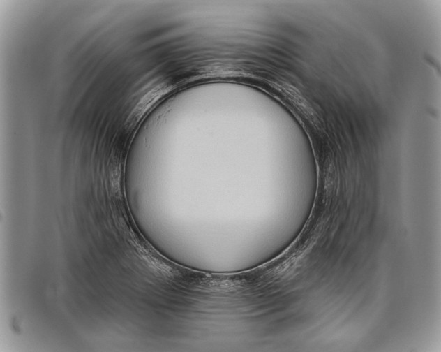 X0000097771273200803281632