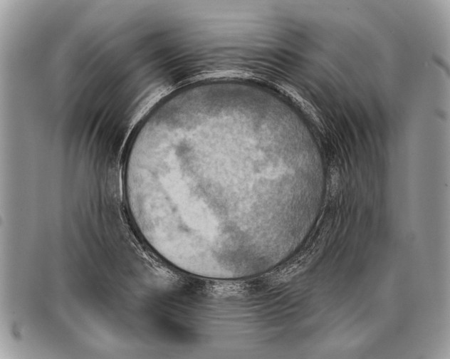 X0000097771274200803281632