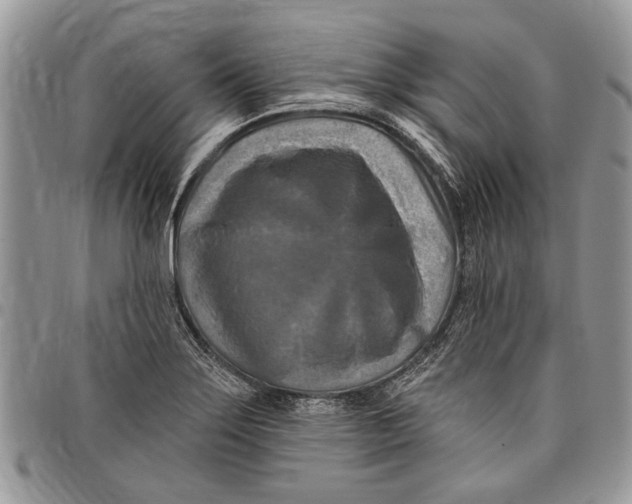 X0000097771275200803281632