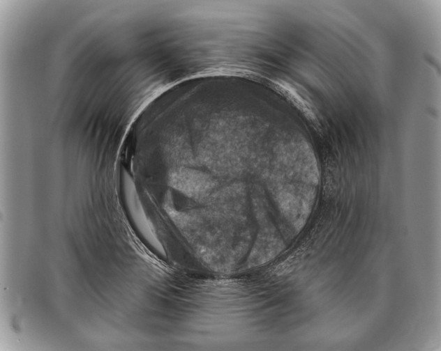 X0000097771276200803281632