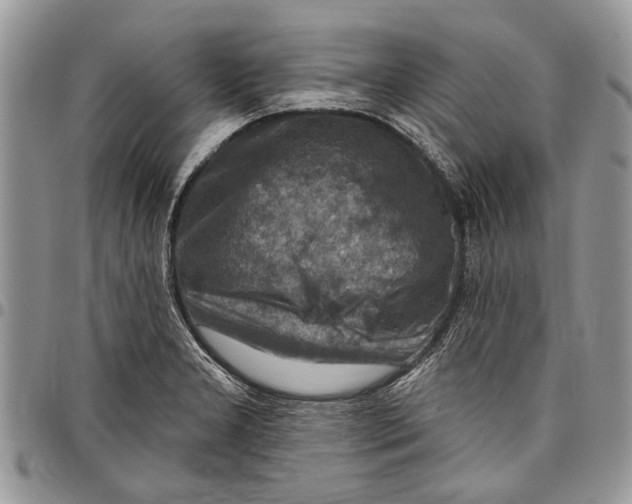 X0000097771277200803281632