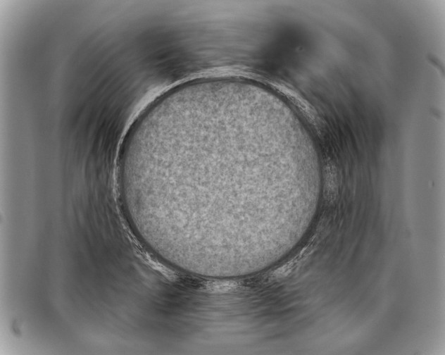 X0000097771278200803281632