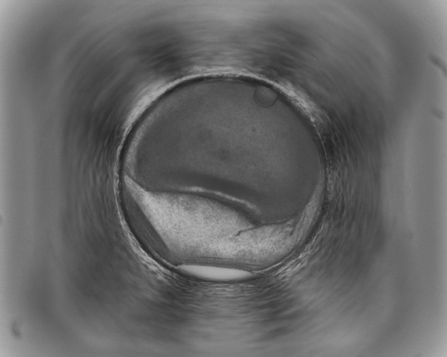 X0000097771279200803281632