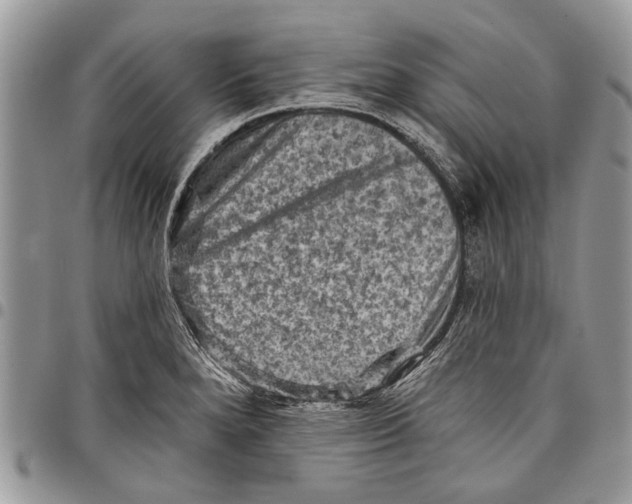 X0000097771280200803281632