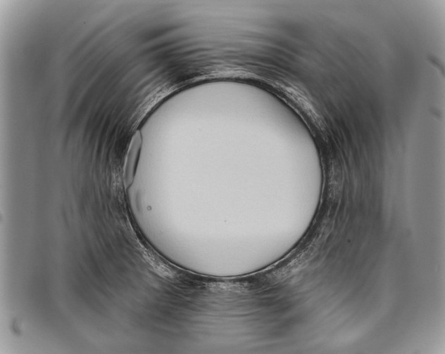 X0000097771281200803281632