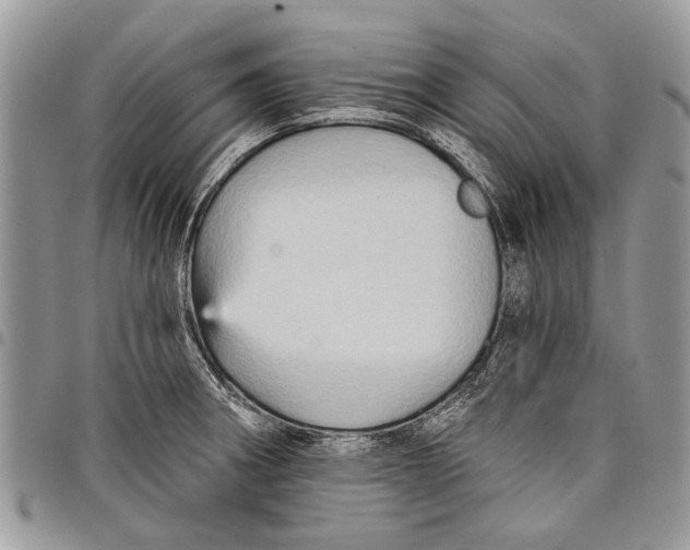 X0000097771282200803281632