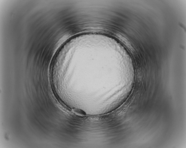 X0000097771283200803281632