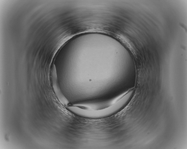 X0000097771284200803281632