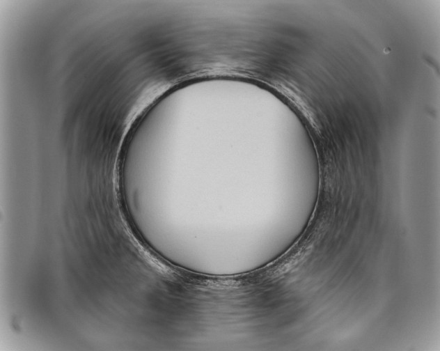 X0000097771285200803281632