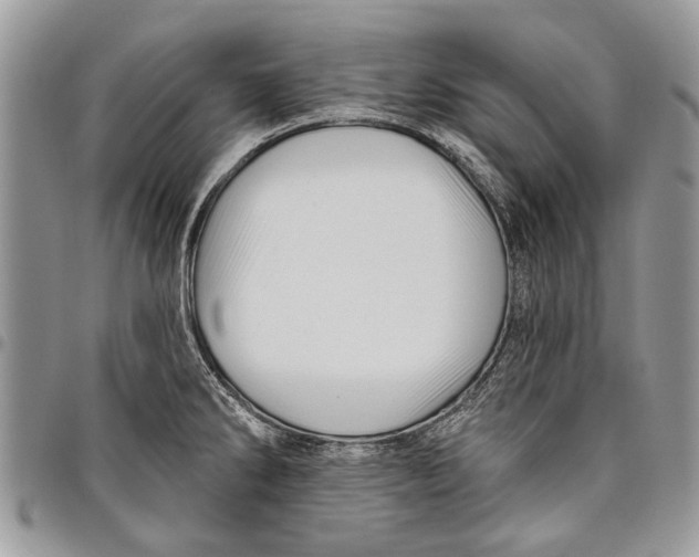 X0000097771286200803281632