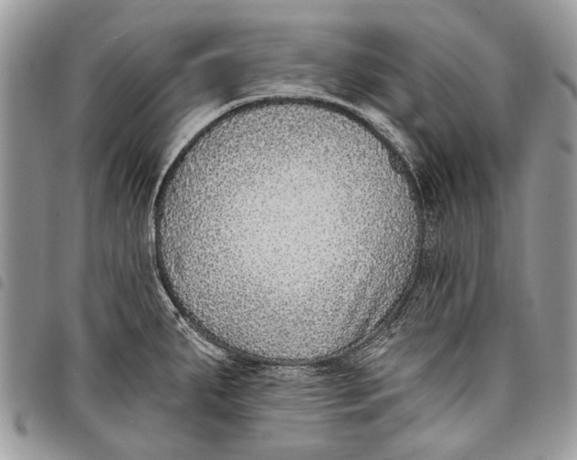 X0000097771287200803281632