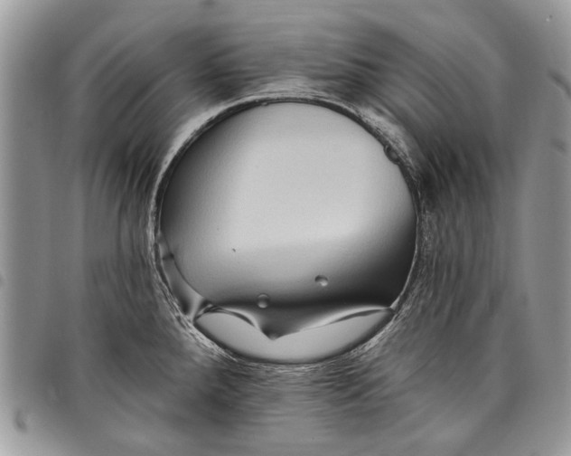 X0000097771288200803281632