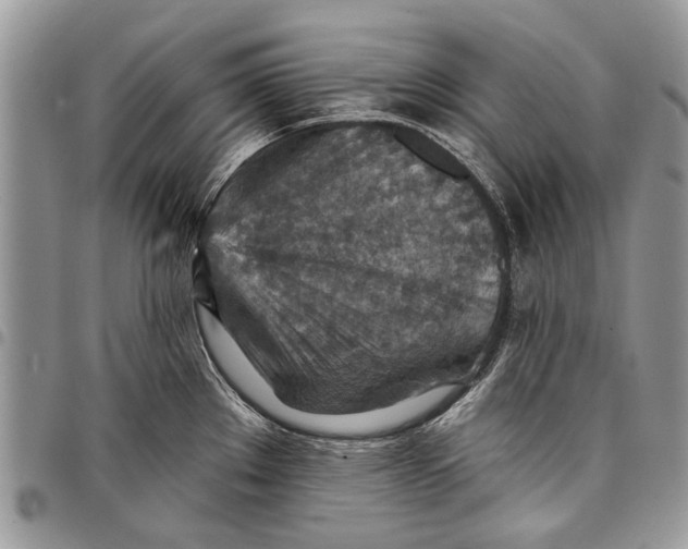 X0000097771289200803281632