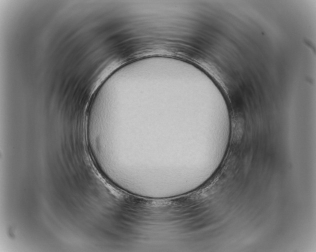 X0000097771290200803281632