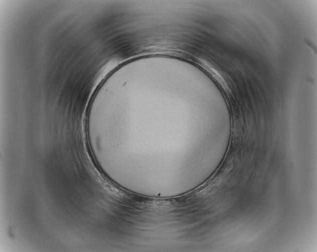 X0000097771291200803281632