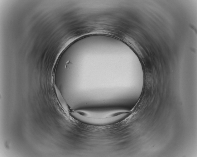 X0000097771292200803281632