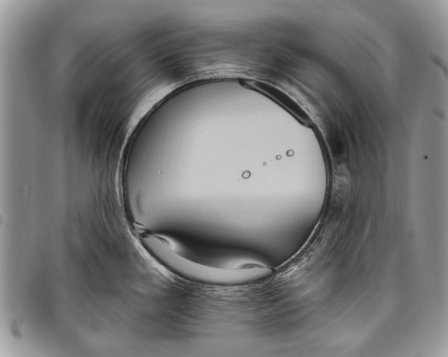 X0000097771293200803281632