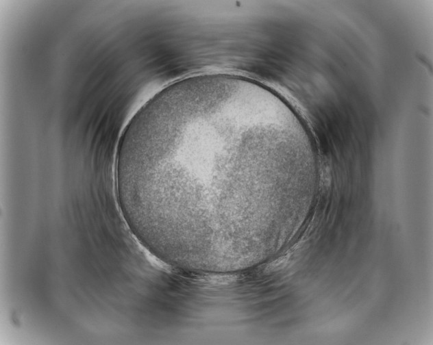 X0000097771294200803281632