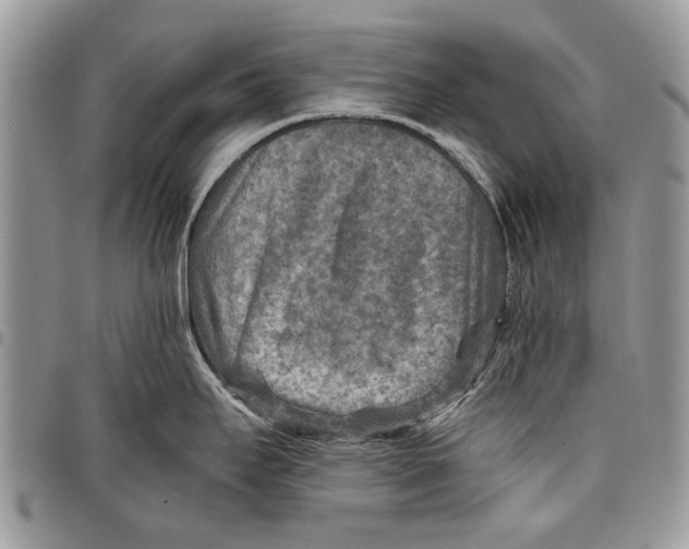 X0000097771295200803281632