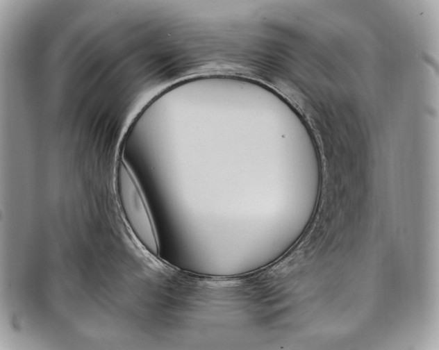 X0000097771296200803281631