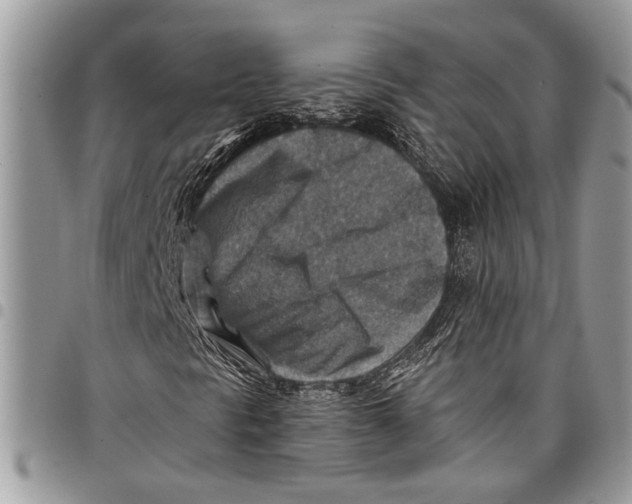 X0000097771297200803281631