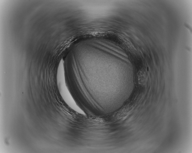 X0000097771298200803281631