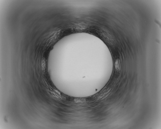 X0000097771299200803281631