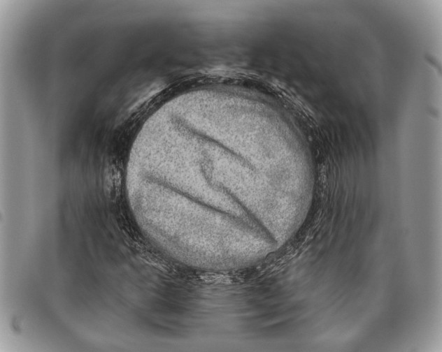 X0000097771302200803281631