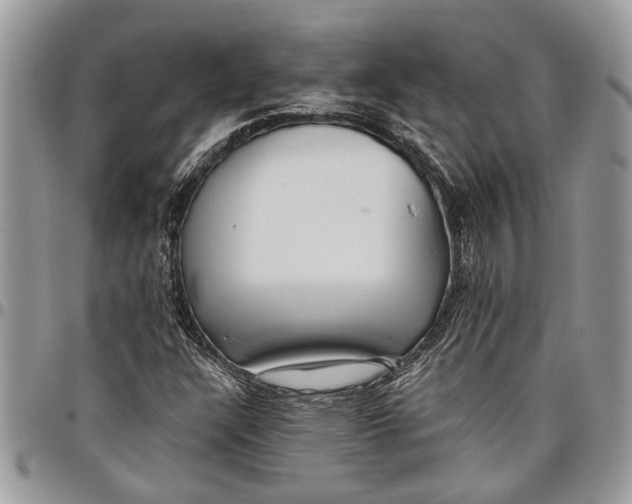 X0000097771304200803281631