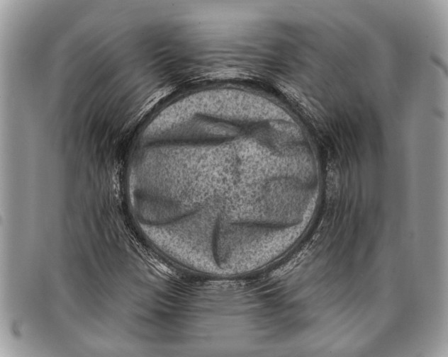 X0000097771305200803281631