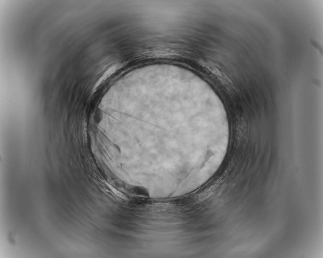 X0000097771306200803281631