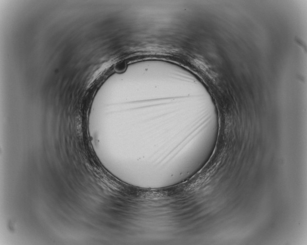 X0000097771307200803281631