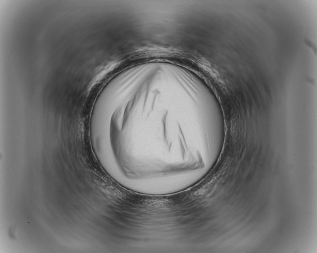 X0000097771309200803281631