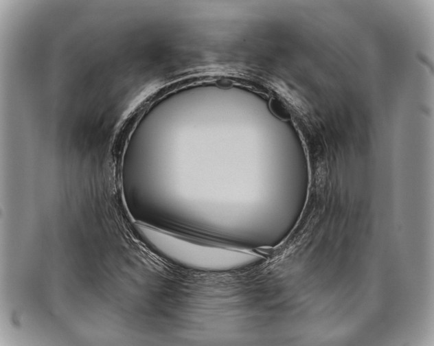 X0000097771310200803281631