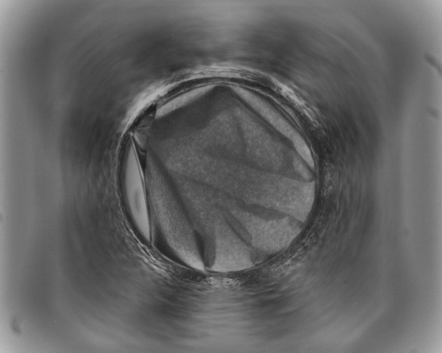 X0000097771312200803281631