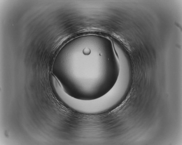 X0000097771313200803281631