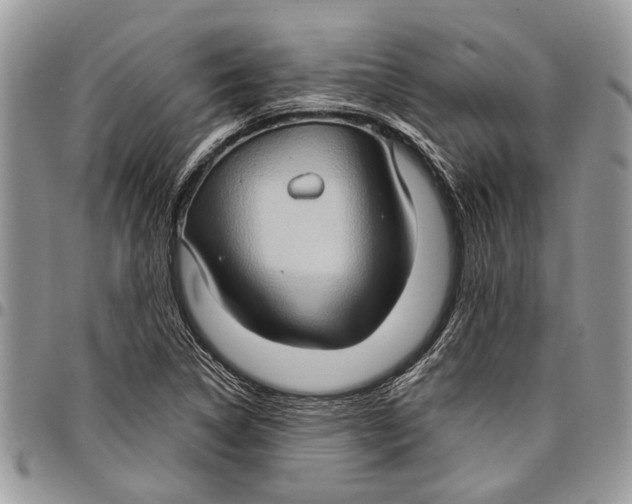 X0000097771314200803281631