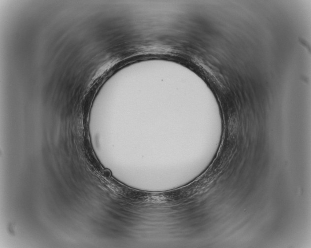 X0000097771315200803281631