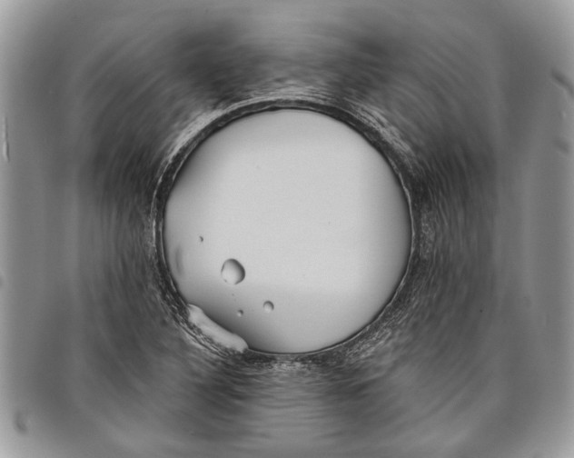 X0000097771316200803281631