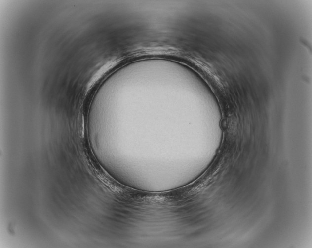 X0000097771317200803281631