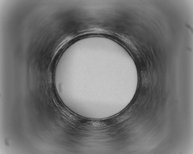 X0000097771318200803281631