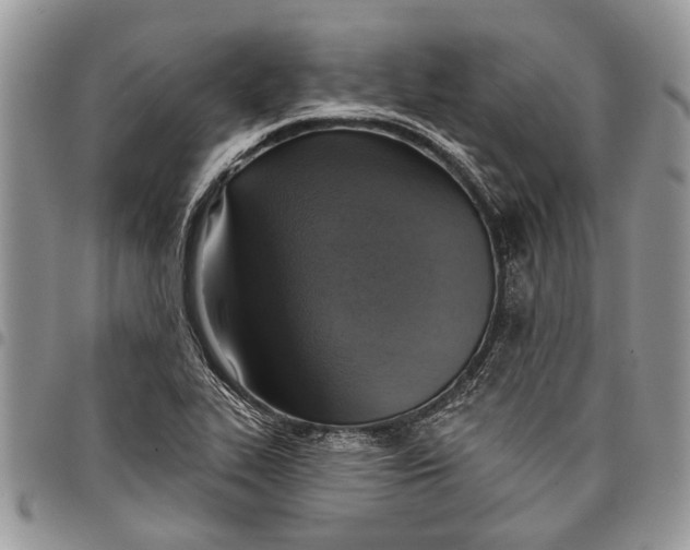 X0000097771319200803281631