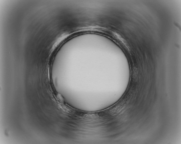 X0000097771320200803281631