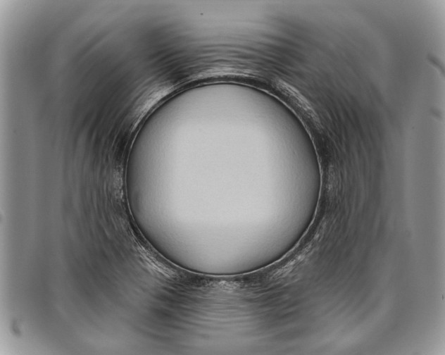 X0000097771321200803281631