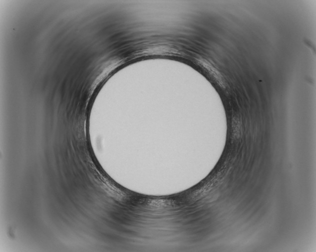 X0000097771322200803281631