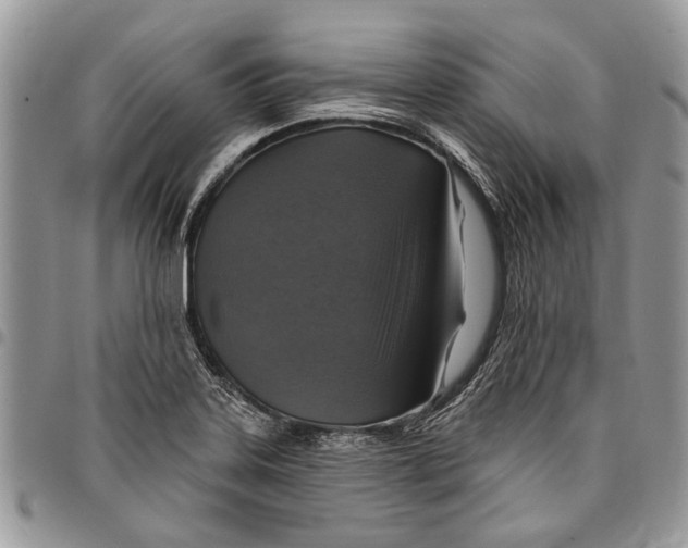 X0000097771323200803281631