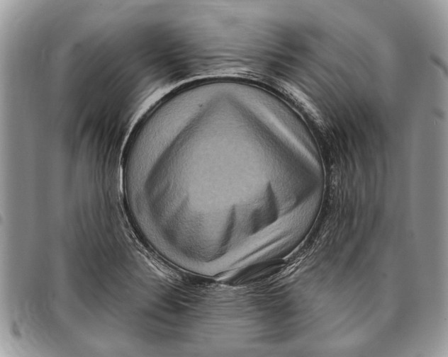 X0000097771324200803281631