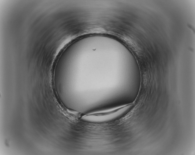 X0000097771326200803281631