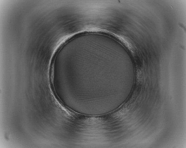 X0000097771327200803281631